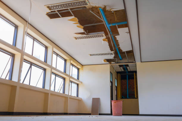 Best Water damage cleanup near me  in , WI