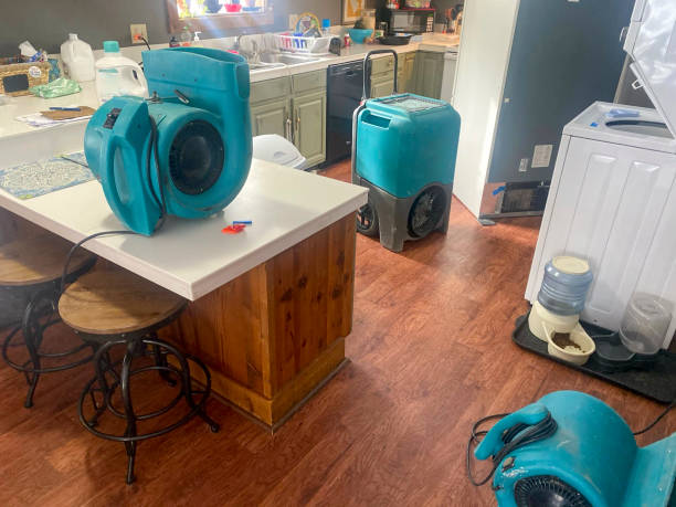 Best Carpet water damage restoration  in , WI