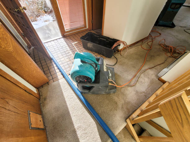 Best Commercial water damage restoration  in , WI