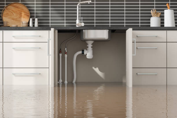 Best Flooded house restoration  in , WI