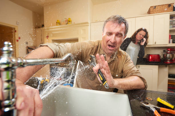 Best Water damage restoration mold remediation  in , WI